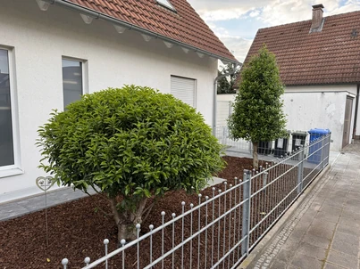 Pflanzplanung Bild 2