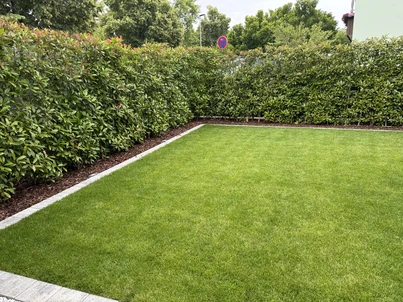 Pflanzplanung Bild 1