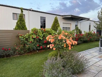 Pflanzplanung Bild 1