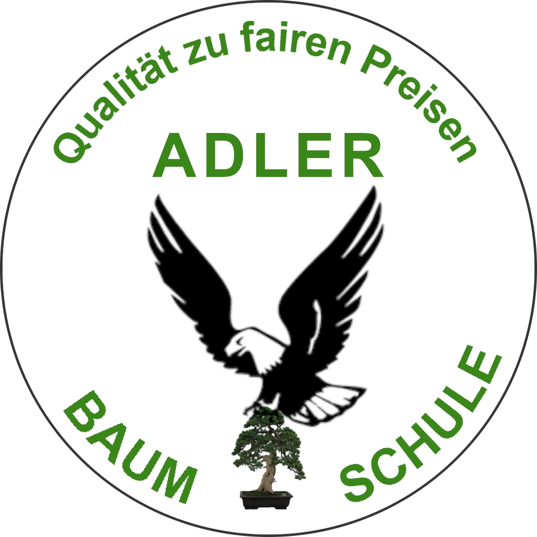 ADLER Baumschule Logo